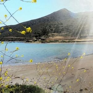 Meet your Posher, Lily